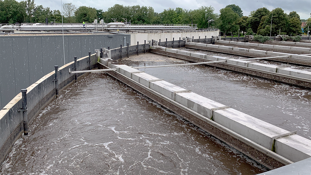 According to Ana Maria de Roda Husman, Head of Environment at the National Institute for Public Health and the Environment, 'we are the first in the world to do these analyses on a national level.' /CGTN Europe