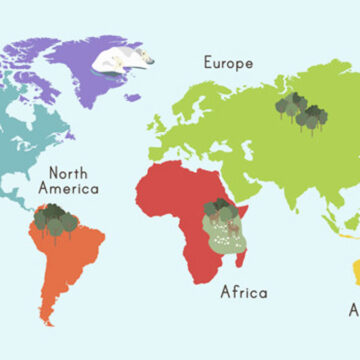 The Top Travel Souvenirs From Around the World