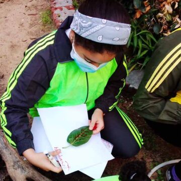 Policy makers across MENA discuss mental health and well-being in schools