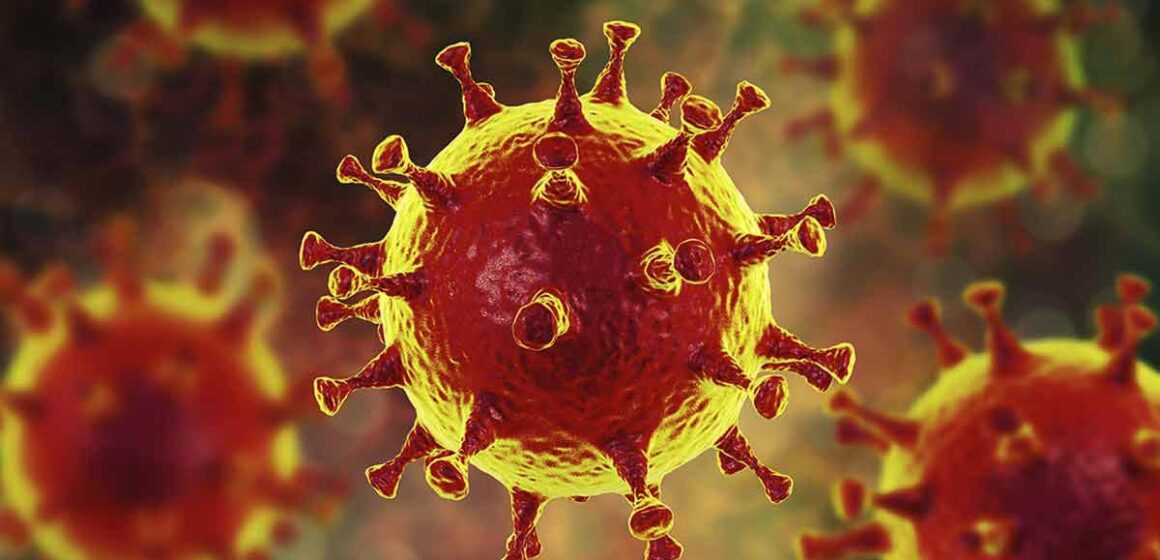 Coronavirus Follow-up Committee suggests banning entry of travelers arriving directly from India, Brazil