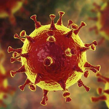 Osaka confirms a daily record of 1,262 new coronavirus cases on Saturday NHK