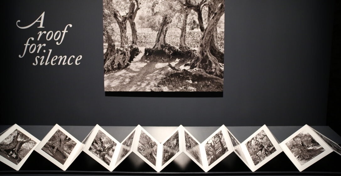 A Roof for Silence - a project by Hala Wardé