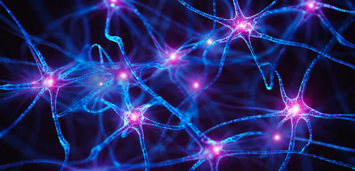 Can NU-9 Stop Alzheimers Before It Starts? New Drug Shows Promise In Mice