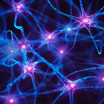 Can-NU-9-Stop-Alzheimers-Before-It-Starts---New-Drug-Shows-Promise-In-Mice Can NU-9 Stop Alzheimers Before It Starts? New Drug Shows Promise In Mice