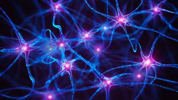 Can NU-9 Stop Alzheimers Before It Starts? New Drug Shows Promise In Mice